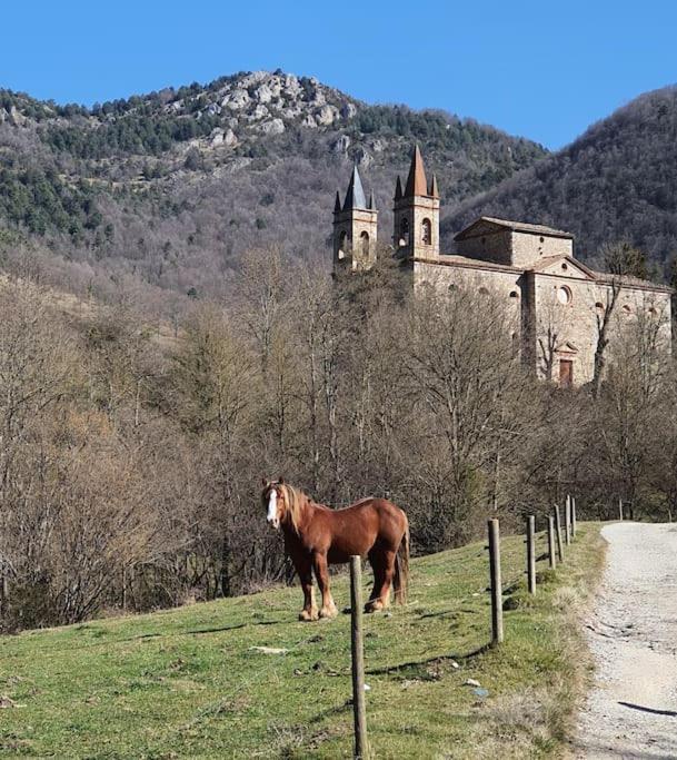 El Mussol De La Vila Camprodon, Balconets Amb Vistes A La Placa Esterno foto